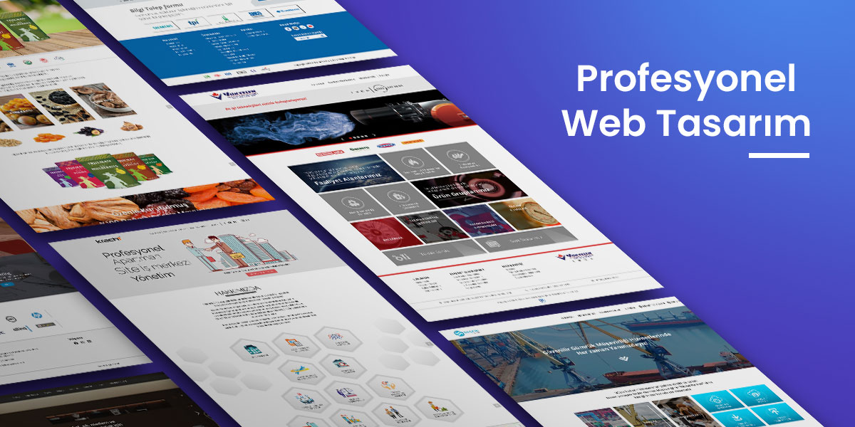 Profesyonel Web Tasarım Hizmeti: İşletmenizi Online Dünyaya Taşıyın